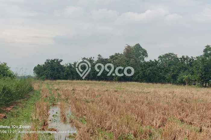Tanah Kavling di Kertajati Dijual dengan Luas 7100m2 Tanah Kavling di Kertajati Dijual dengan Luas 7100m2