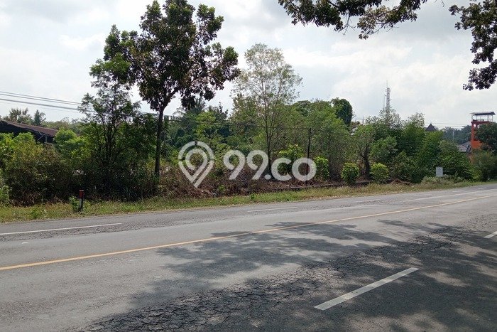 Lahan Kosong Dijual di Bantul dengan Area 13899m2 Lahan Kosong Dijual di Bantul dengan Area 13899m2