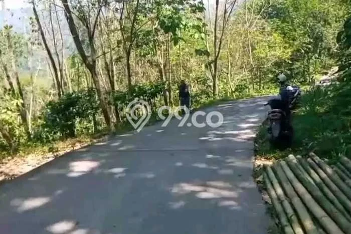 Tanah Dijual Lokasi Limbangan Kendal SHM Tanah Dijual Lokasi Limbangan Kendal SHM