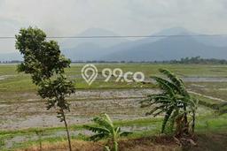 Kavling Tanah Dijual di Ambarawa Ambarawa Spesifikasi 4344m2 Kavling Tanah Dijual di Ambarawa Ambarawa Spesifikasi 4344m2