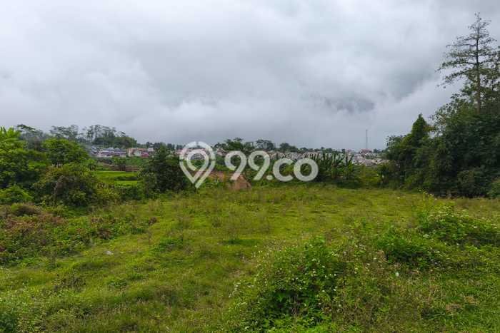 Kavling Tanah di Boja Dijual Luas 3700m2 Legalitas SHM Kavling Tanah di Boja Dijual Luas 3700m2 Legalitas SHM