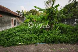 Untuk Dijual Tanah di Mijen Semarang Luas 190m2 SHM Untuk Dijual Tanah di Mijen Semarang Luas 190m2 SHM
