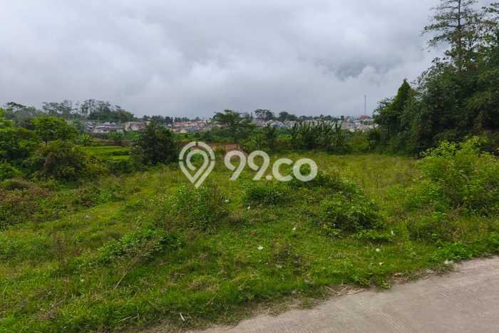 Kavling Tanah di Boja Dijual Luas 3700m2 Legalitas SHM Kavling Tanah di Boja Dijual Luas 3700m2 Legalitas SHM