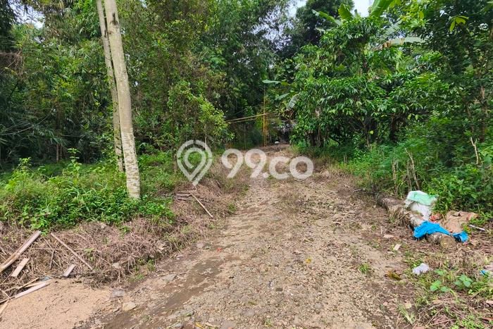 KEUNTUNGAN BERLIPAT! Komersial Kawasan Boja, Luas 750m², Area Komersial KEUNTUNGAN BERLIPAT! Komersial Kawasan Boja, Luas 750m², Area Komersial