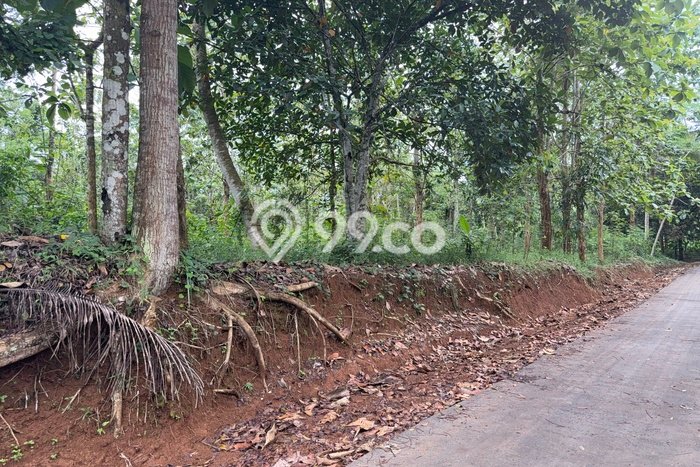 Tanah Dijual Lokasi Cisaga, Ciamis Luas 7276m2 Legalitas Aman Tanah Dijual Lokasi Cisaga, Ciamis Luas 7276m2 Legalitas Aman