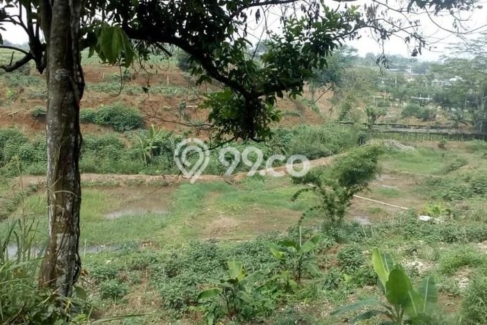 Dijual Tanah Lokasi Prima di Ciampea, Luas 10123m², Akses Fasilitas Umum Dijual Tanah Lokasi Prima di Ciampea, Luas 10123m², Akses Fasilitas Umum