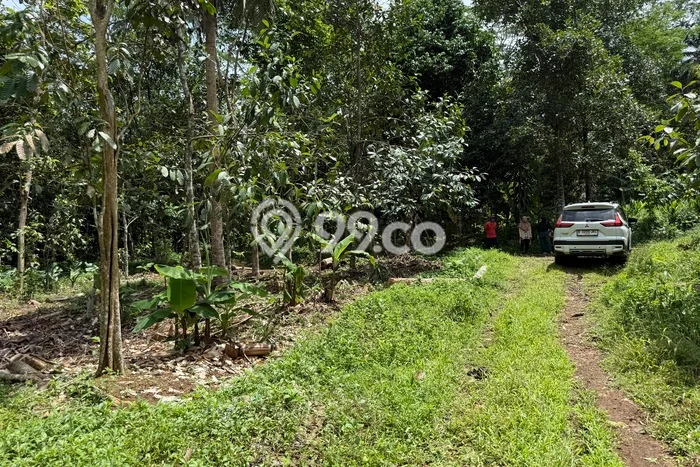 Tanah Kosong Dijual di Ciamis dengan Area 1746m2 Tanah Kosong Dijual di Ciamis dengan Area 1746m2