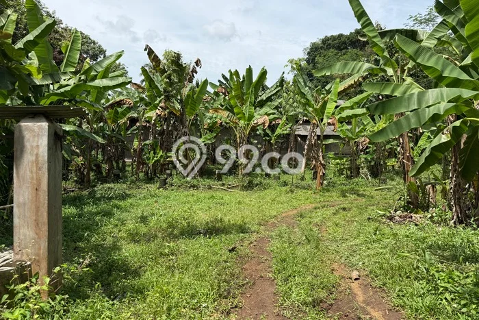 Tanah Kosong Dijual di Ciamis dengan Area 1746m2 Tanah Kosong Dijual di Ciamis dengan Area 1746m2