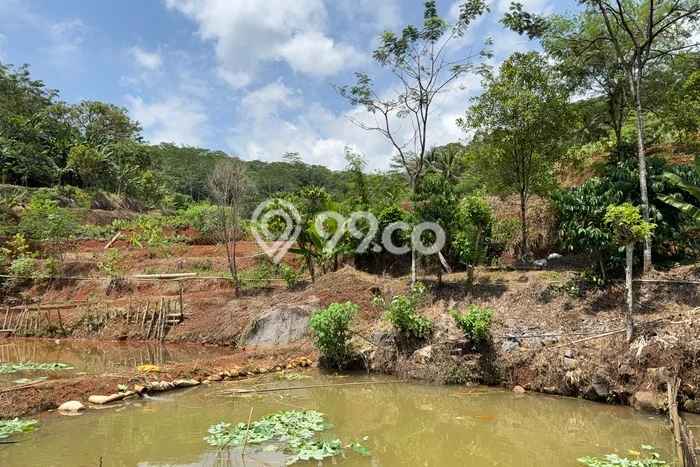 Tanah Kavling untuk Dijual di Baregbeg Ciamis 51596m2 Tanah Kavling untuk Dijual di Baregbeg Ciamis 51596m2