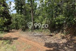 Dijual Tanah Lokasi Strategis Kawasan Cisaga, Luas 2520m2m², Dekat Cisaga, Ciamis, Ciamis Dijual Tanah Lokasi Strategis Kawasan Cisaga, Luas 2520m2m², Dekat Cisaga, Ciamis, Ciamis
