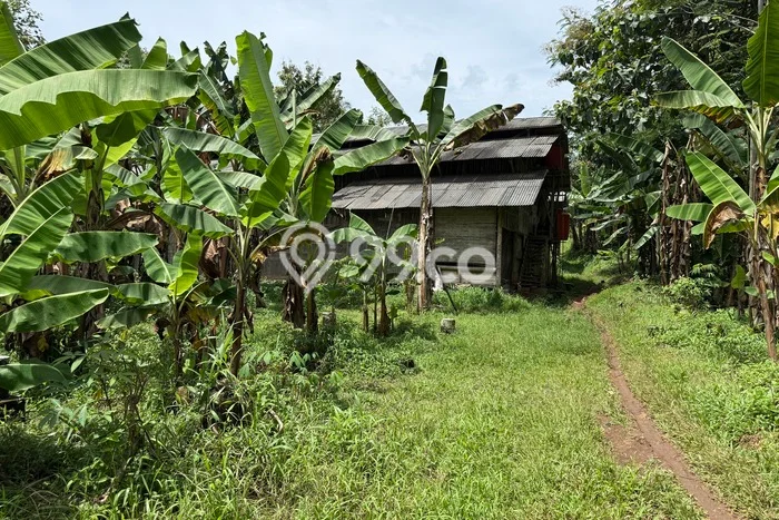 Tanah Kosong Dijual di Ciamis dengan Area 1746m2 Tanah Kosong Dijual di Ciamis dengan Area 1746m2
