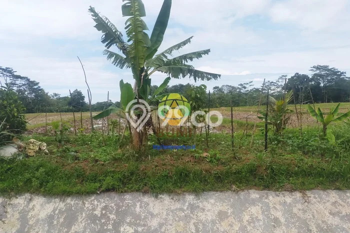 Tanah di Matesih, Karanganyar Luas 1460m2 Dijual Segera Tanah di Matesih, Karanganyar Luas 1460m2 Dijual Segera