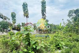 Tanah Kavling untuk Dijual di Klego Boyolali 1521m2 Tanah Kavling untuk Dijual di Klego Boyolali 1521m2