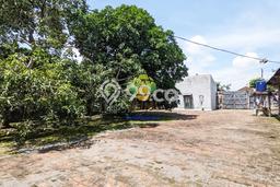 Tanah Dijual Lokasi Purwodadi, Grobogan Luas 3800m2 Legalitas Aman Tanah Dijual Lokasi Purwodadi, Grobogan Luas 3800m2 Legalitas Aman