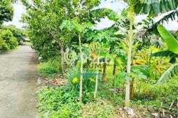 Kavling Tanah Dijual di Andong Boyolali Spesifikasi 4784m2 Kavling Tanah Dijual di Andong Boyolali Spesifikasi 4784m2