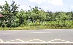 Kavling Tanah di Giriwoyo Dijual Luas 4351m2 Legalitas SHM Kavling Tanah di Giriwoyo Dijual Luas 4351m2 Legalitas SHM