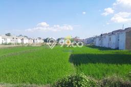 Tanah Dijual Lokasi Karanganyar Karanganyar SHM Tanah Dijual Lokasi Karanganyar Karanganyar SHM