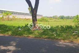 Tanah Dijual Lokasi Tasikmadu, Karanganyar Luas 3300m2 Legalitas Aman Tanah Dijual Lokasi Tasikmadu, Karanganyar Luas 3300m2 Legalitas Aman