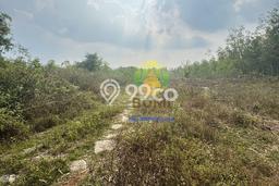 Tanah Kavling di Wuryantoro Dijual dengan Luas 380m2 Tanah Kavling di Wuryantoro Dijual dengan Luas 380m2