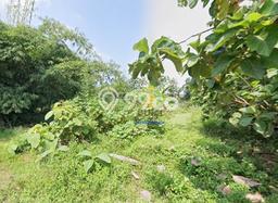 Kavling Tanah Dijual di Sragen Sragen Spesifikasi 1280m2 Kavling Tanah Dijual di Sragen Sragen Spesifikasi 1280m2
