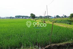 Tanah di Mojolaban, Sukoharjo Luas 3200m2 Dijual Segera Tanah di Mojolaban, Sukoharjo Luas 3200m2 Dijual Segera