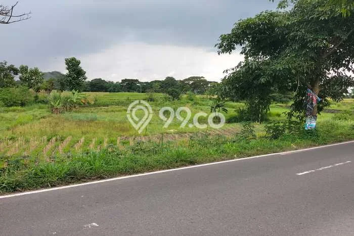 Kavling Tanah di Polanharjo Dijual Luas 2160m2 Legalitas SHM Kavling Tanah di Polanharjo Dijual Luas 2160m2 Legalitas SHM