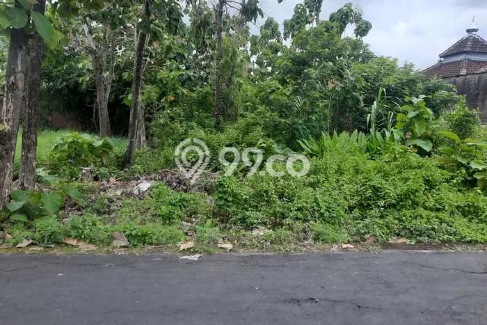 Lahan Kosong Dijual di Gondangrejo, Karanganyar, Luas 520m2 Area Strategis Lahan Kosong Dijual di Gondangrejo, Karanganyar, Luas 520m2 Area Strategis