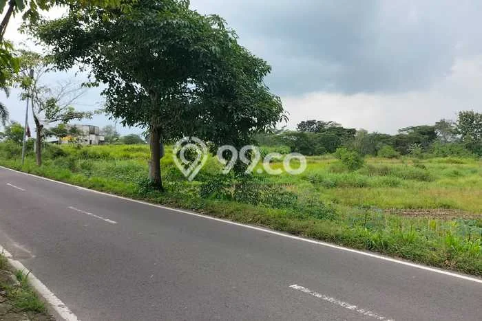 Kavling Tanah di Polanharjo Dijual Luas 2160m2 Legalitas SHM Kavling Tanah di Polanharjo Dijual Luas 2160m2 Legalitas SHM