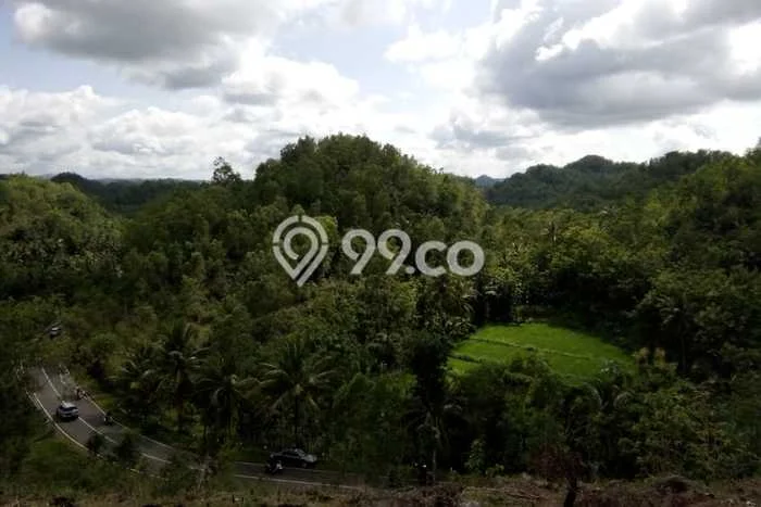 Kavling Tanah di Punung Dijual Luas 28531m2 Legalitas SHM Kavling Tanah di Punung Dijual Luas 28531m2 Legalitas SHM