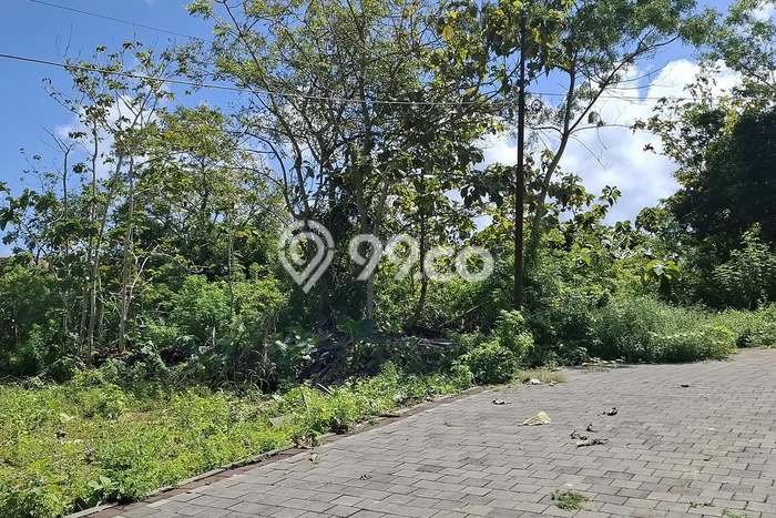 Tanah Kavling Dijual di Pecatu, Badung dengan Luas Tanah 4000m2 Tanah Kavling Dijual di Pecatu, Badung dengan Luas Tanah 4000m2