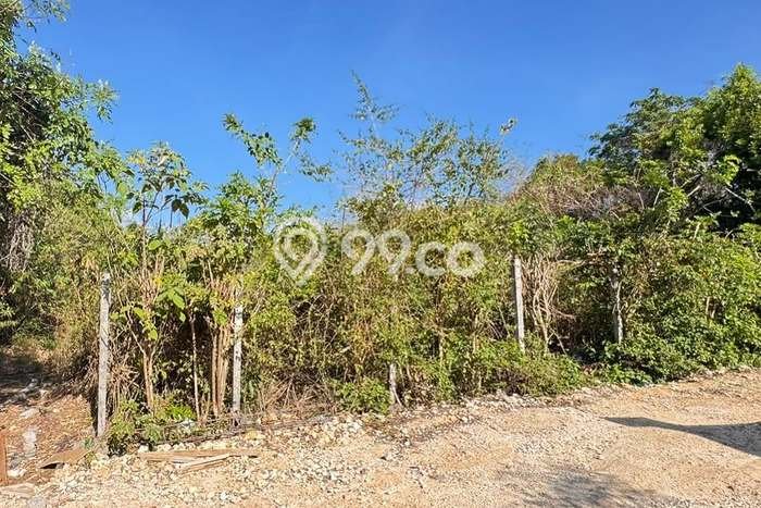 Untuk Dijual Tanah 1000m2 di Nusa Dua, Badung Untuk Dijual Tanah 1000m2 di Nusa Dua, Badung