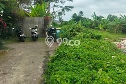 Lahan Dijual Lokasi Ubud, Gianyar dengan Luas Tanah 1600m2 dan Status SHM Lahan Dijual Lokasi Ubud, Gianyar dengan Luas Tanah 1600m2 dan Status SHM