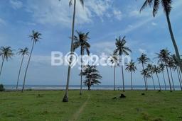 Tanah untuk Dijual di Selemadeg Tabanan Luas 29200m2 Tanah untuk Dijual di Selemadeg Tabanan Luas 29200m2