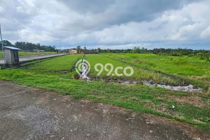 Tanah Dijual Lokasi Strategis di Tabanan dengan Luas 1200m2 Tanah Dijual Lokasi Strategis di Tabanan dengan Luas 1200m2