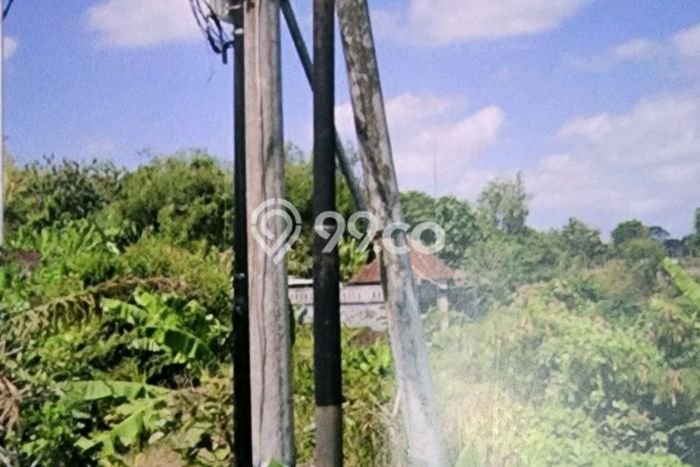 Tanah Kavling untuk Dijual di Tabanan Tabanan 4375m2 Tanah Kavling untuk Dijual di Tabanan Tabanan 4375m2