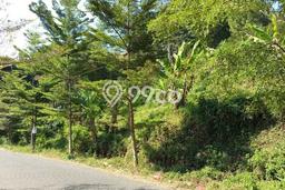 Lahan Dijual Lokasi Strategis di Bandung dengan Luas 2225m2 Lahan Dijual Lokasi Strategis di Bandung dengan Luas 2225m2