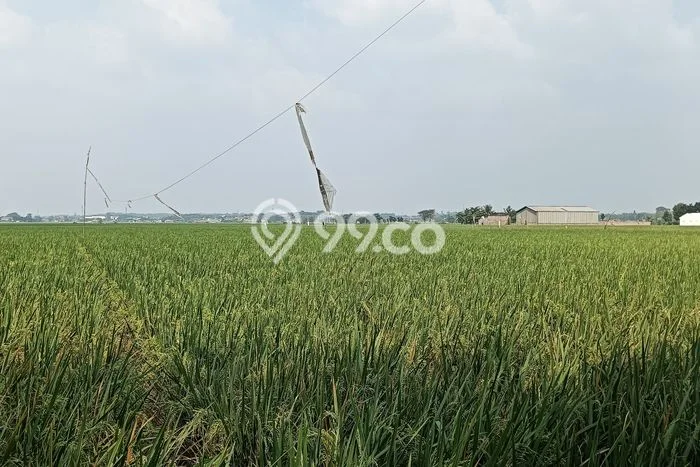 Tanah Lokasi Strategis Kawasan Karawang Barat, Luas 700m², Lingkungan Asri, Dekat Karawang Barat, Karawang, Karawang Tanah Lokasi Strategis Kawasan Karawang Barat, Luas 700m², Lingkungan Asri, Dekat Karawang Barat, Karawang, Karawang