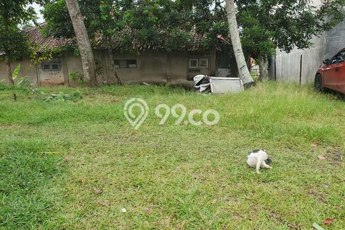 Tanah Dijual Lokasi Pandeglang, Pandeglang dengan Luas Tanah 1000m2 dan Status SHM Tanah Dijual Lokasi Pandeglang, Pandeglang dengan Luas Tanah 1000m2 dan Status SHM