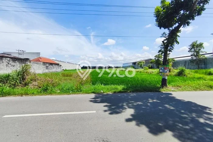 Tanah Kavling untuk Dijual di Gatak Sukoharjo 1525m2 Tanah Kavling untuk Dijual di Gatak Sukoharjo 1525m2