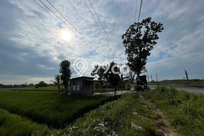 Tanah Dijual Lokasi Wonosari, Klaten Luas 1911m2 Legalitas Aman Tanah Dijual Lokasi Wonosari, Klaten Luas 1911m2 Legalitas Aman