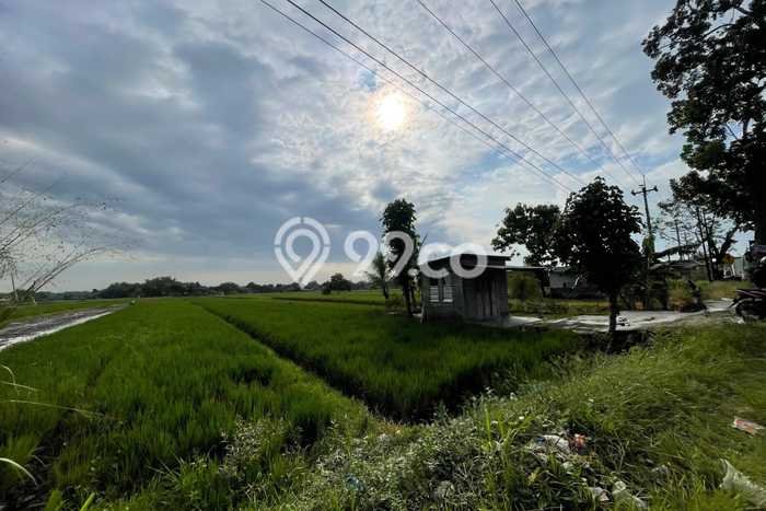 Tanah Dijual Lokasi Wonosari, Klaten Luas 1911m2 Legalitas Aman Tanah Dijual Lokasi Wonosari, Klaten Luas 1911m2 Legalitas Aman