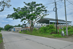 Tanah Kavling untuk Dijual di Delanggu Klaten 2389m2 Tanah Kavling untuk Dijual di Delanggu Klaten 2389m2