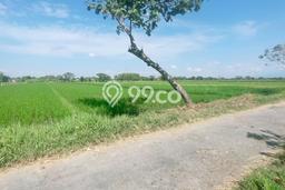 Kavling Tanah di Baki Dijual Luas 2440m2 Legalitas SHM Kavling Tanah di Baki Dijual Luas 2440m2 Legalitas SHM