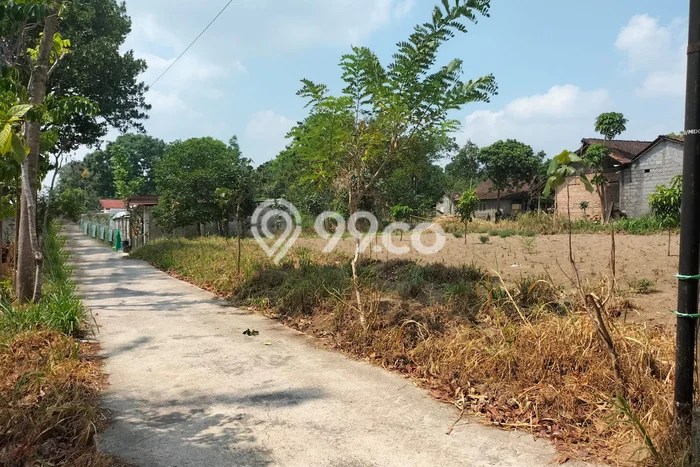 Tanah Dijual Lokasi Musuk, Boyolali Luas 1425m2 Legalitas Aman Tanah Dijual Lokasi Musuk, Boyolali Luas 1425m2 Legalitas Aman
