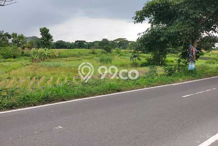 Tanah Dijual Lokasi Polanharjo, Klaten Luas 2160m2 Legalitas Aman Tanah Dijual Lokasi Polanharjo, Klaten Luas 2160m2 Legalitas Aman