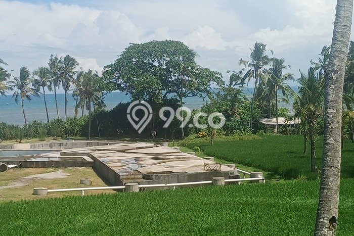Tanah Dijual Lokasi Strategis di Tabanan dengan Luas 9000m2 Tanah Dijual Lokasi Strategis di Tabanan dengan Luas 9000m2