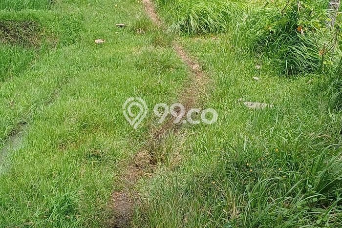 Tanah Dijual Lokasi Strategis di Tabanan dengan Luas 9000m2 Tanah Dijual Lokasi Strategis di Tabanan dengan Luas 9000m2
