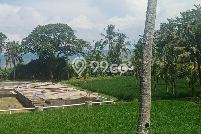 Tanah Dijual Lokasi Strategis di Tabanan dengan Luas 9000m2 Tanah Dijual Lokasi Strategis di Tabanan dengan Luas 9000m2
