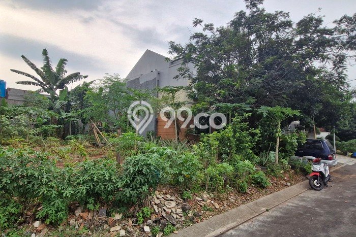 Tanah Investasi Dijual di Bogor Punya Luas 200m2 Tanah Investasi Dijual di Bogor Punya Luas 200m2