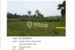 Jarang Ada! Tanah di Anyer Punya Luas 50250m2 - Jarang Ada! Tanah di Anyer Punya Luas 50250m2 -